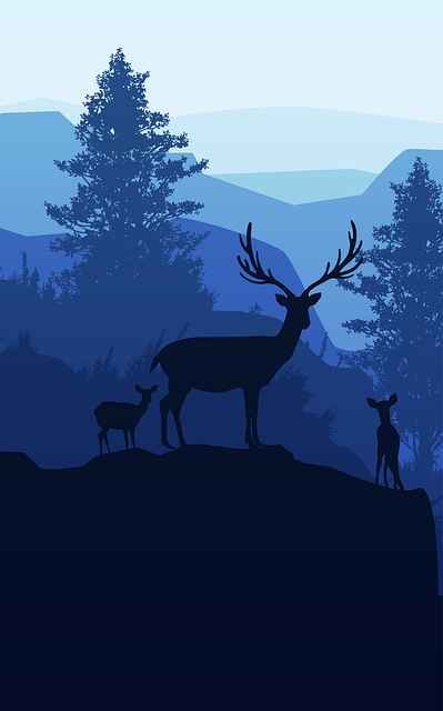 Top 5 Deer Hunting Games 2023. - tintplay.com