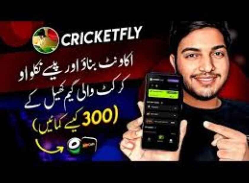 How to Earn Money by Playing Cricket Fly Game.
