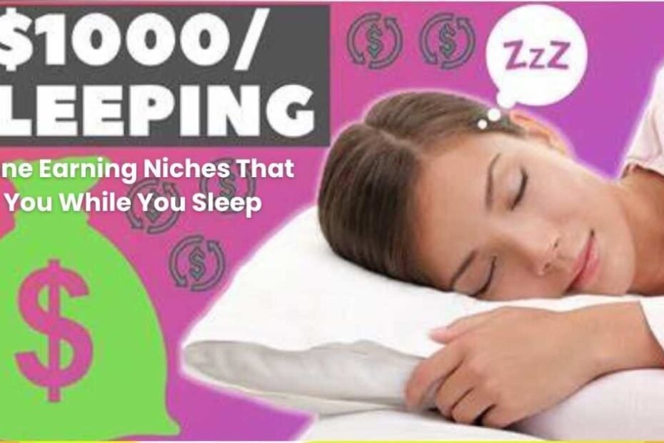 Online Earning Niches That Pay You While You Sleep.